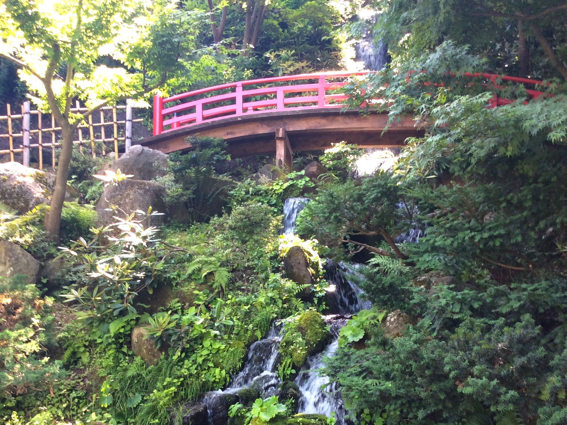 🌸 후지타 기념 정원(후지타키넨테이엔) 이미지 6
